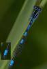 231255 – Photo : Patrick ORVANE – France (02)